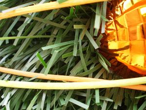 v�no�n� strome�ek na v�noce